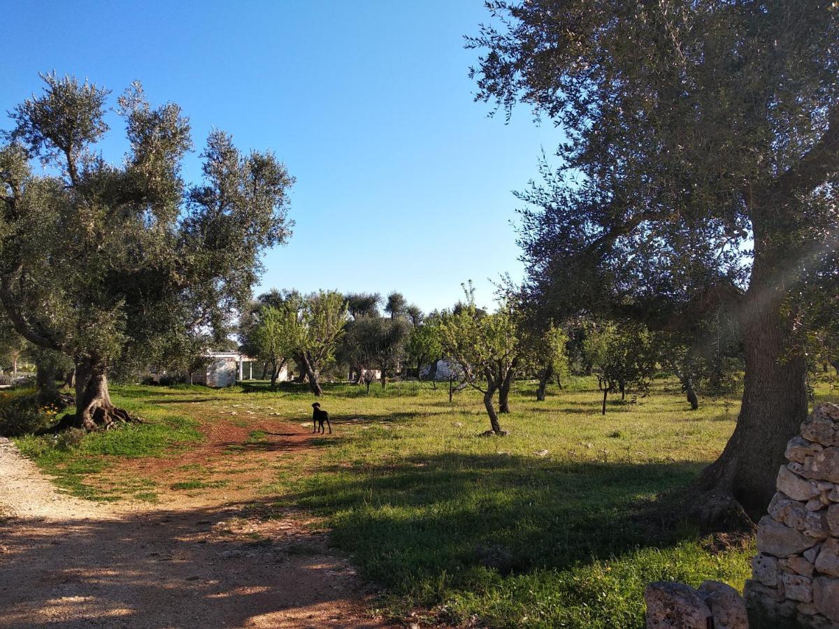 Piccolo Trullo Ostunese Le Jardin De Sophie' Ostuni Luaran gambar