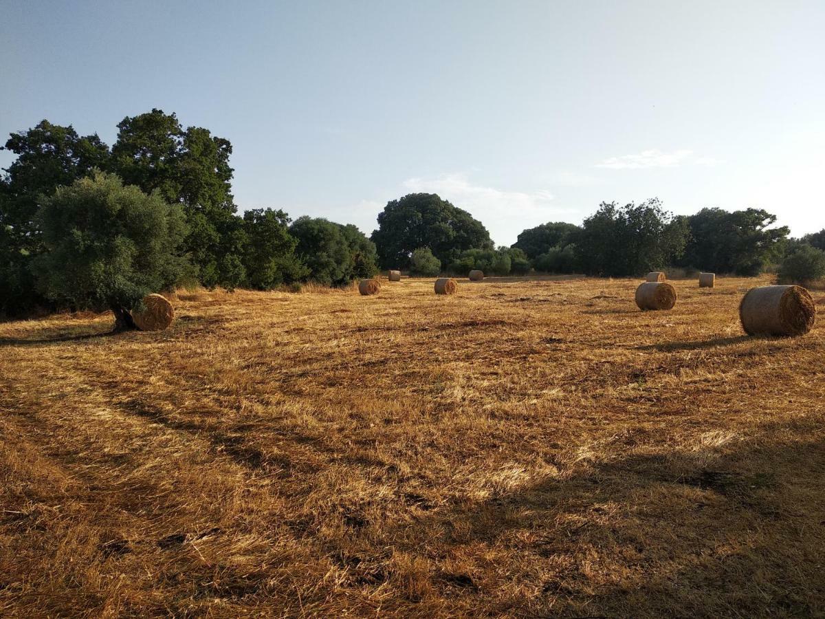 Piccolo Trullo Ostunese Le Jardin De Sophie' Ostuni Luaran gambar
