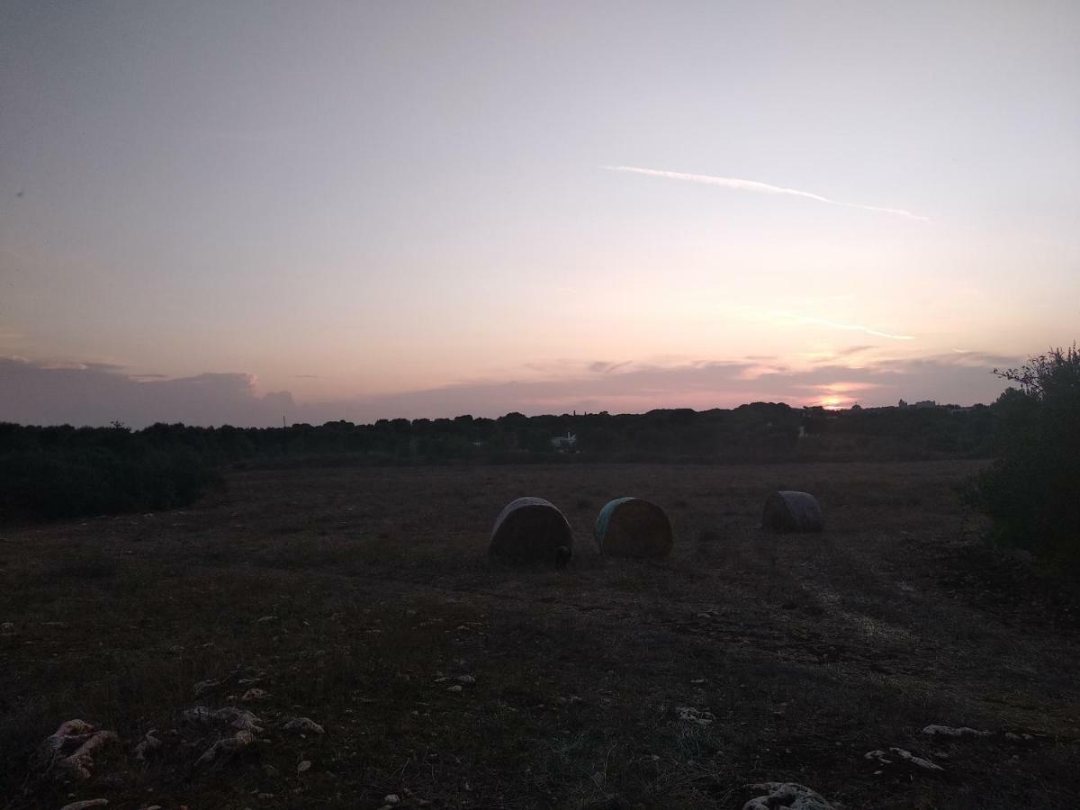 Piccolo Trullo Ostunese Le Jardin De Sophie' Ostuni Luaran gambar